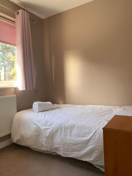 Huntingdon Walk To Town Centre, Cosy, Free Parking Villa Eksteriør bilde